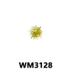 WM3128