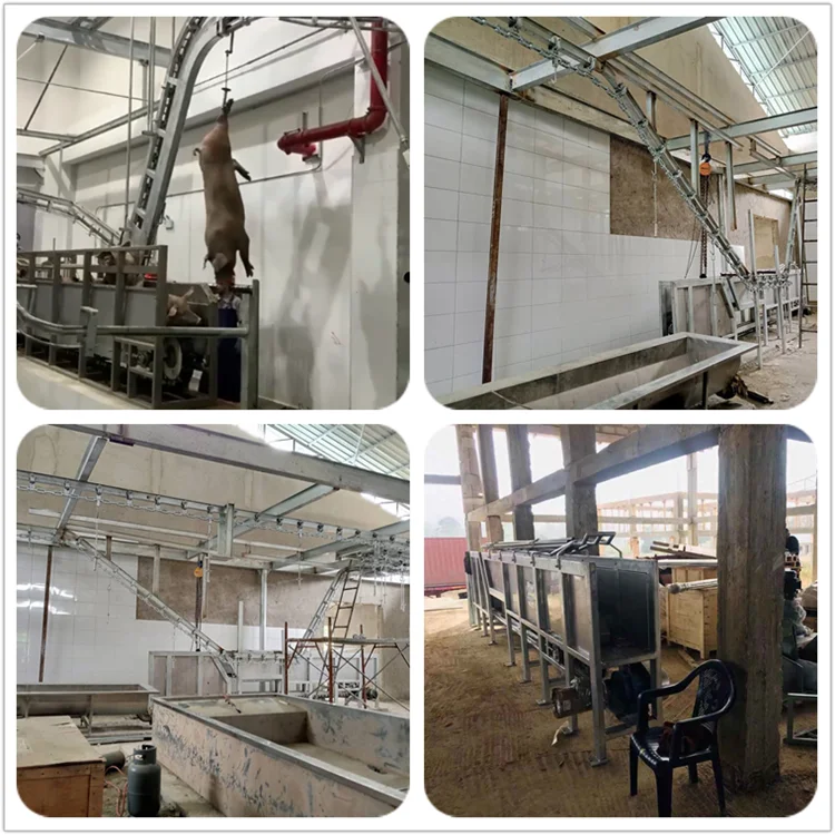 Complete Pig Slaughter Line Solution | Customized Turnkey Packages