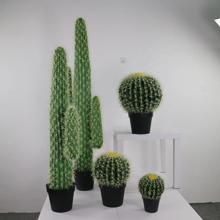 make all kinds of plastic cactus plant