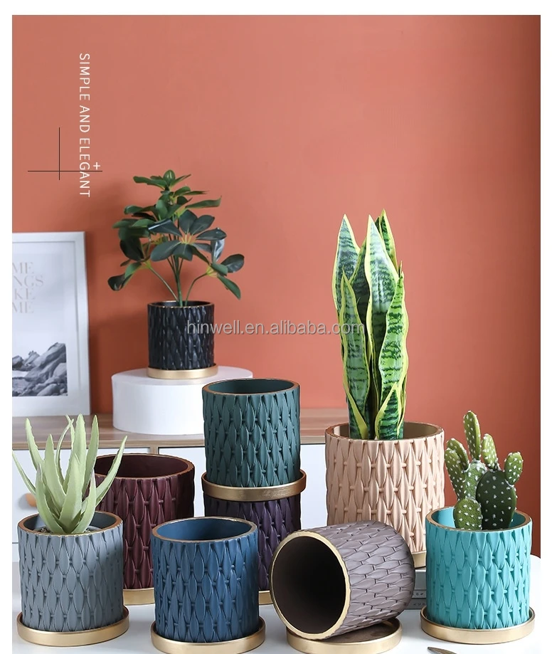 New Effect Morandi Matt Colors Cement Indoor Plants Decorative Concrete