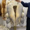Volpe dorata