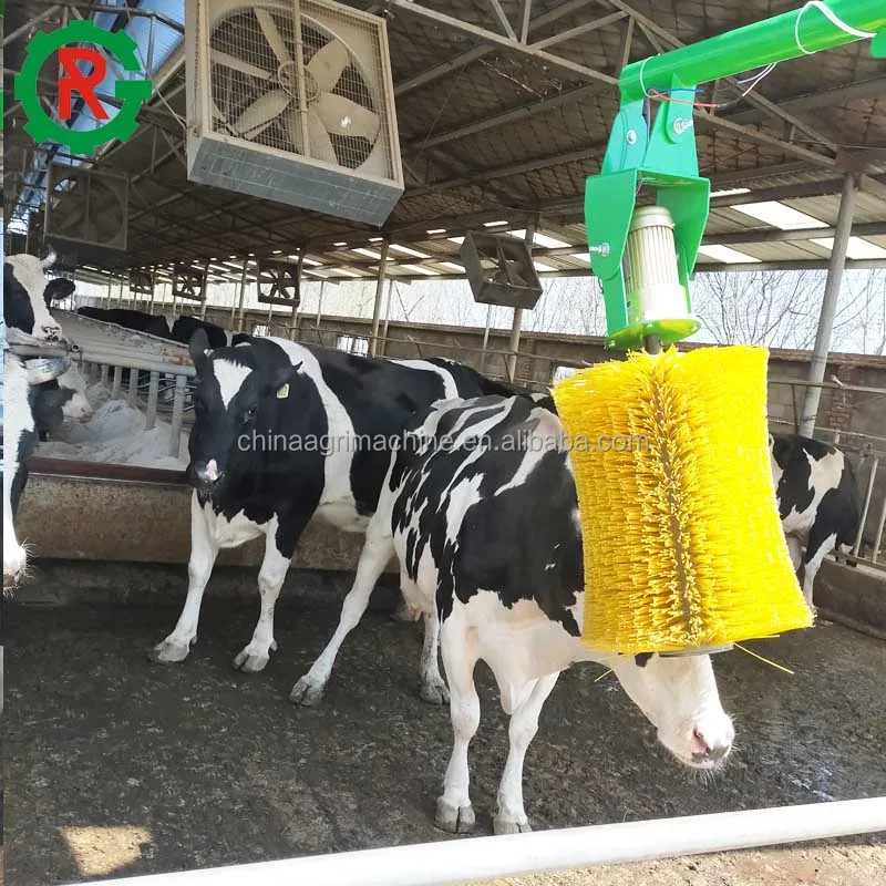 Electric Auto Swinging Cow Cattle Scratching Body Brush Buy Cattle