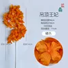 Techo de princesa (naranja)