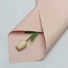 Rosa pallido