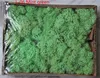 L-06 Mint green