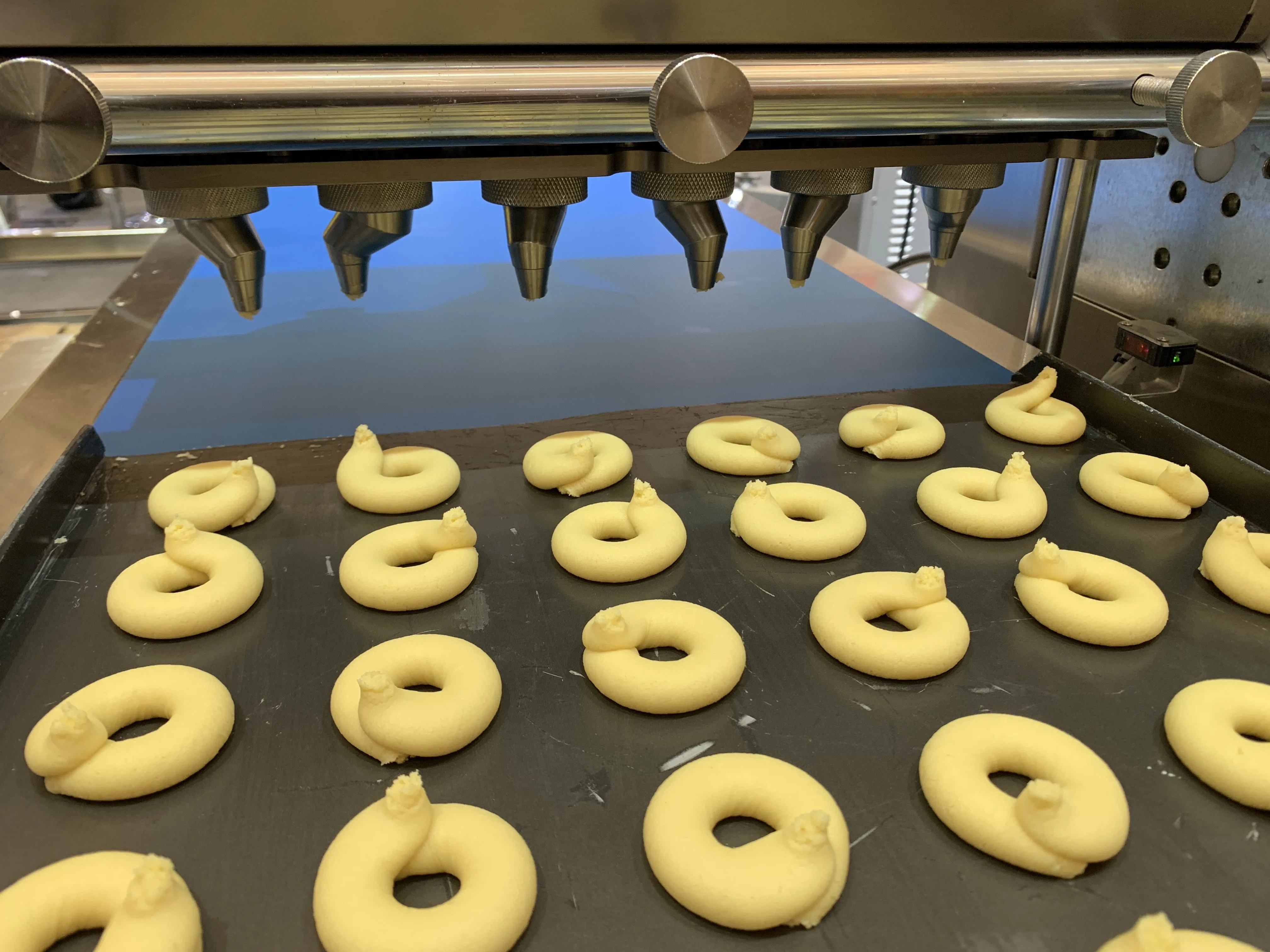 Small Cookies and Biscuit Making Machine for Home