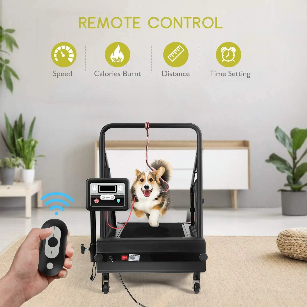 Dog Treadmill Small Dogs - Dog Treadmill for Medium Dogs - Dog