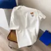 Orsetto bianco e marrone