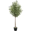 Green Potted Artificial Olive Trees With Fruits