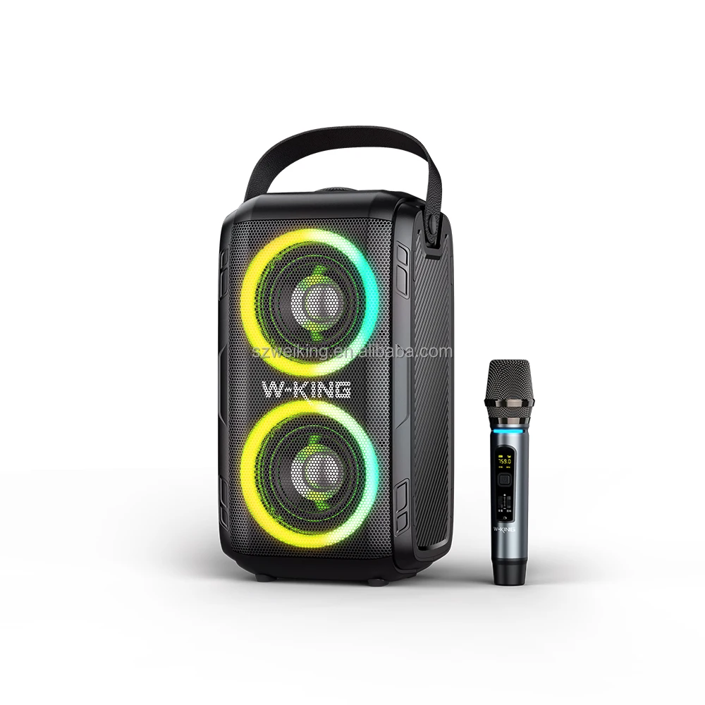 W-KING T9 Portable Audio Box Speaker - Bluetooth & Microphone