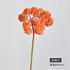 Deep Orange
