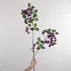 Bougainvillea purple 110cm