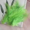 Fruit vert