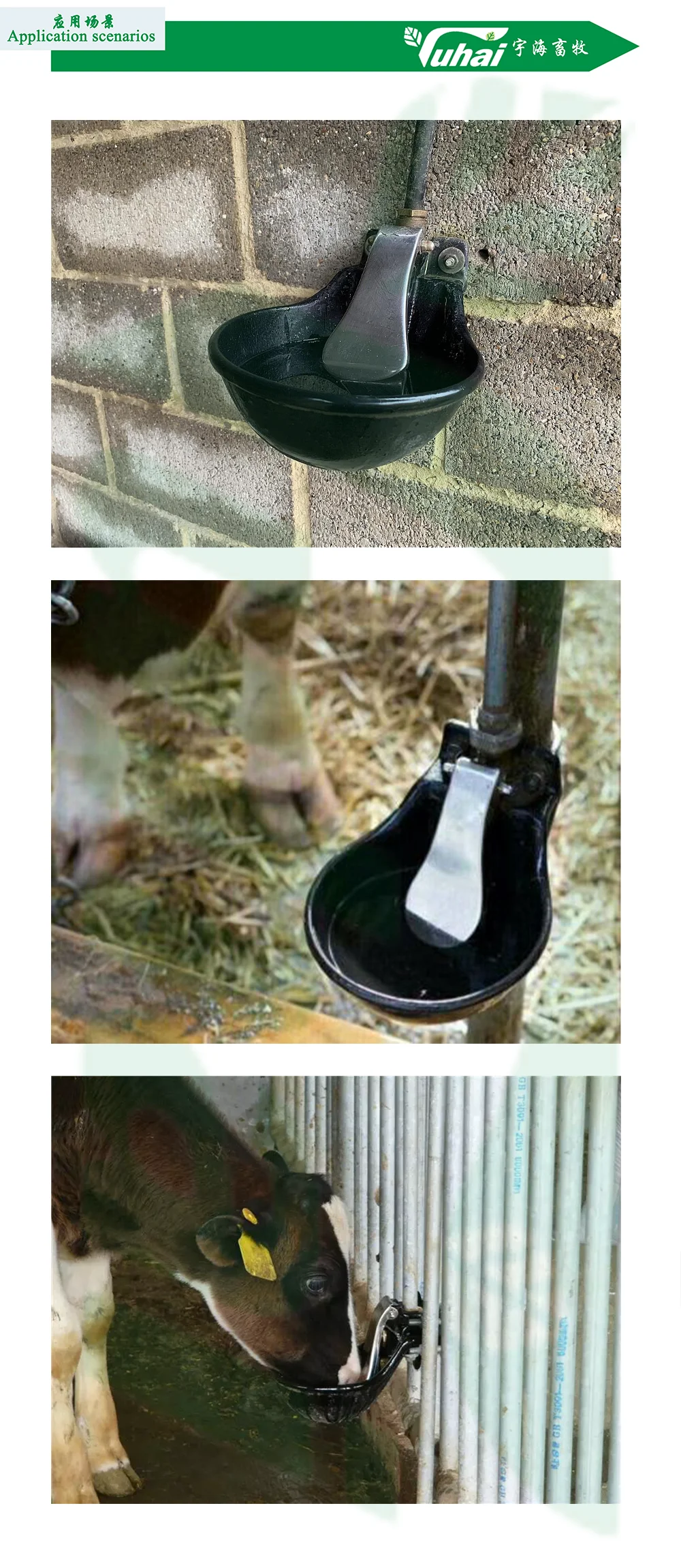 2.6L Iron Drinking Bowl with Tongue for Cow or Animal Vertical Tongue manufacture