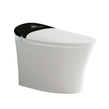 Wholesale Automatic Sanitary Smart Bidet Toilet With Water Tank Ware Items Ceramic Bathroom Wc Intelligent