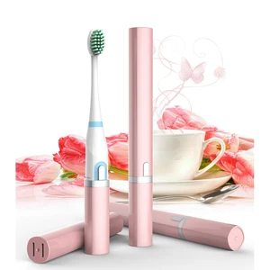 SA119 2018 Hot Selling Patented Electric Toothbrush With Replaceable Toothbrush Head