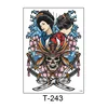 T-243