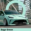 Saga verte