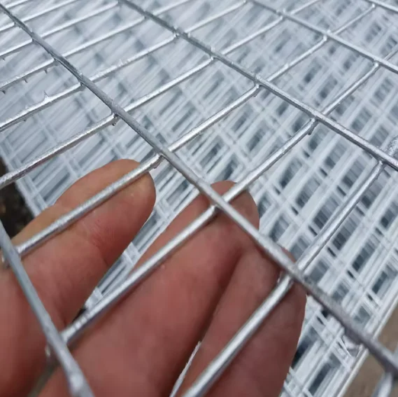 Welded Wire Mesh Stainless Steel Welded Wire Mesh for Fencing