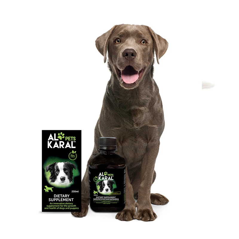 dietary supplements for dogs