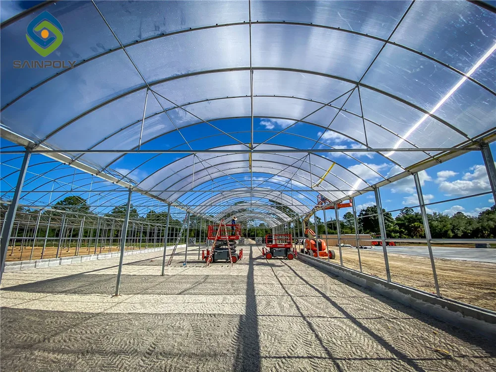 In Stock Large Greenhouse for Agricultural Tomato Hydroponics Turnkey Projects Made of Steel Poly with PC Sheet Cover for Sale