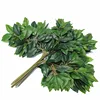 Ejército Green01