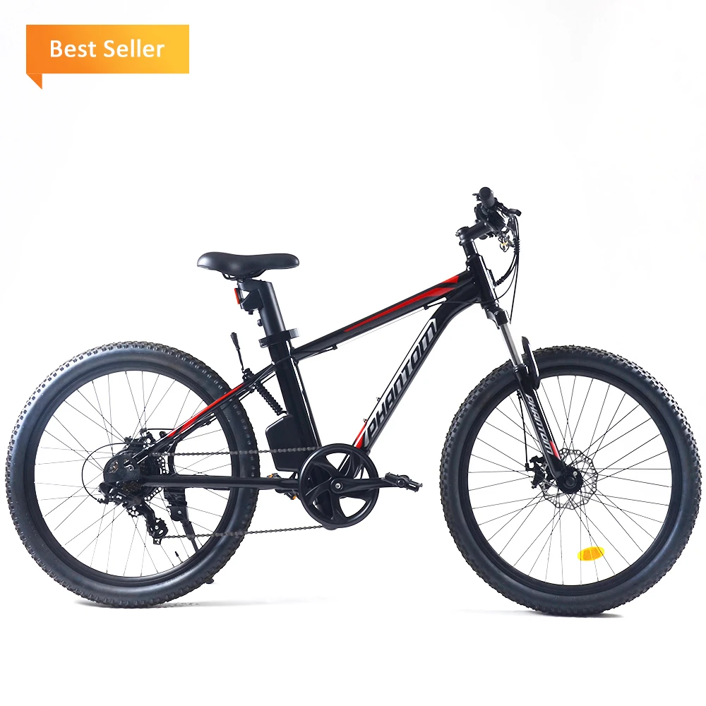 Electric Bici – Transporte de personas y carga – Otro sitio realizado con  WordPress