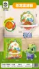 PP-206-Dinosaur Basketball Board