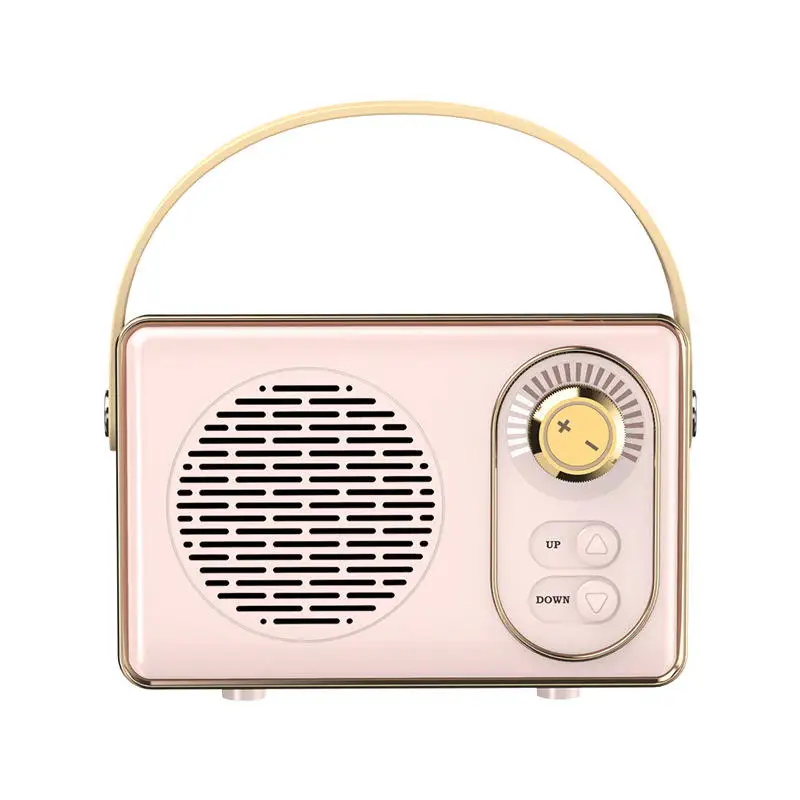 Hot Products 2024 Convenient Singing Microphone Wireless Speaker