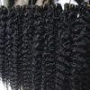 Burmese Curly Hair
