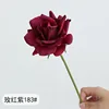 Rosso e viola