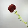 DK rosso