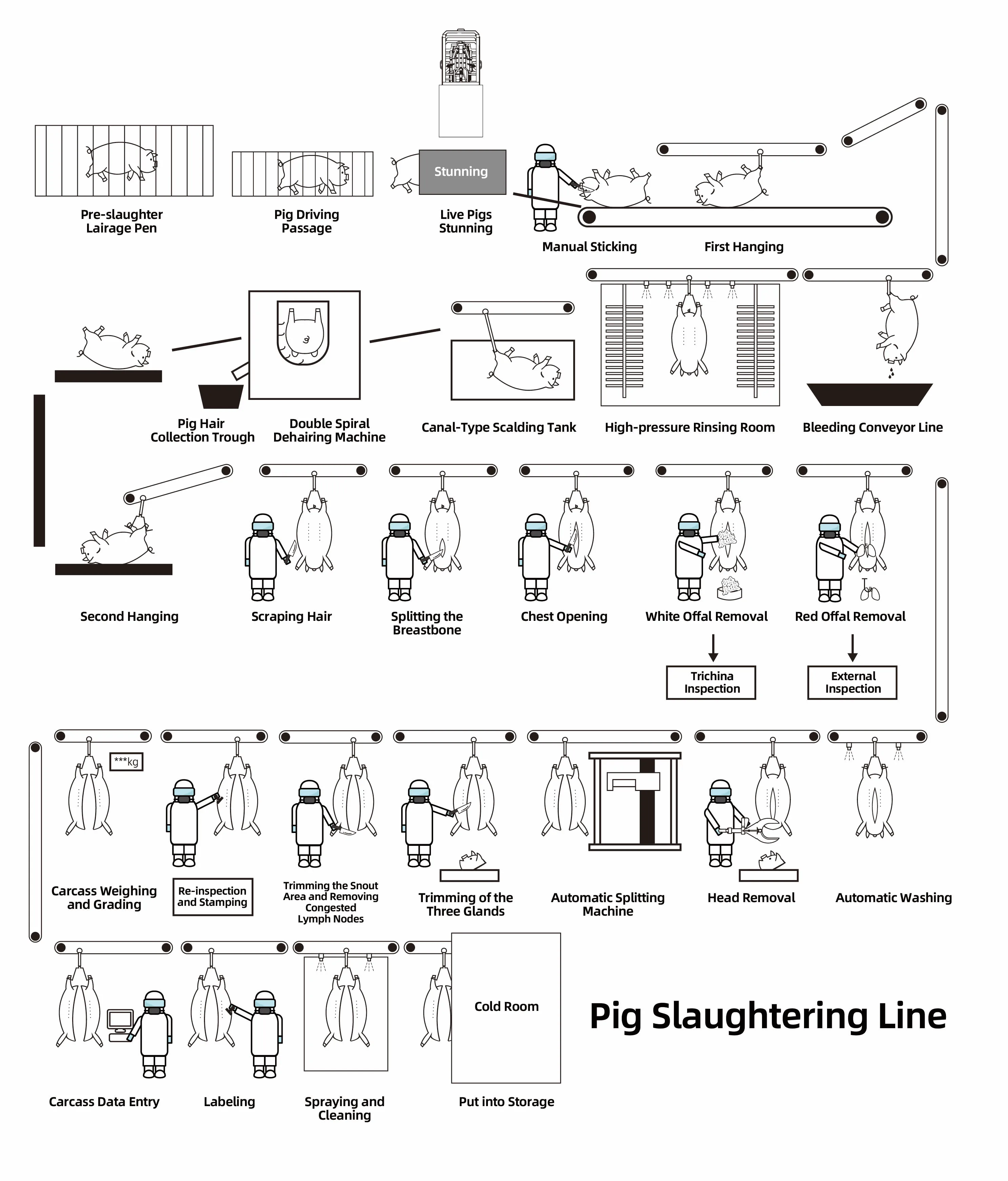 Complete pig slaughterhouse equipment, suitable for pork slaughterhouses and meat processing plants