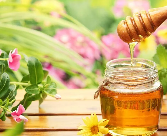 Сухофрукты порошок/Мед-роса порошок дыни/Мед