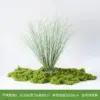 Roseau pure herbe + mousse 100g