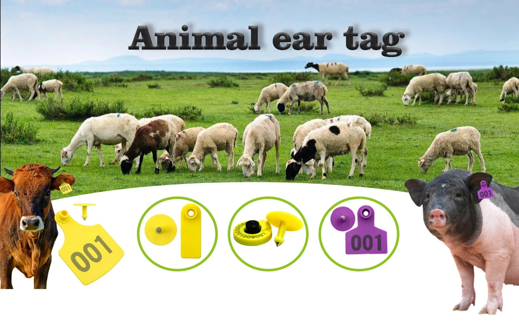 Livestock RFID Barcode Sheep Ear Tag Long Range Numbering Uhf Rfid ...