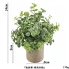 Money grass powder ahe370-069