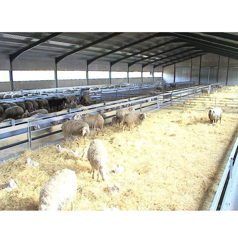 Metal Goat Farm Shed Design Steel Structure Sheep House Shelter