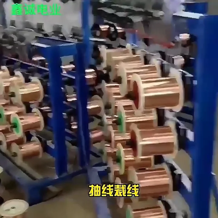 European Regulation Three Plug All Copper Plum Tail Power Cord