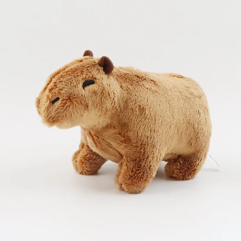 Dropshipping 18cm Cartoon Animal Plush Water Guinea Pig Toy Kids Gift  Stuffed Lovely Capybara Toy - Buy Capybara Toy,Stuffed Animal Toy,Water  Guinea Pig Toy Product on 