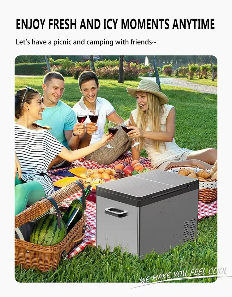Small Car Fridge Rv 110v-220v Refrigeration Zone Mini 12v-24v 45l Small Portable ...