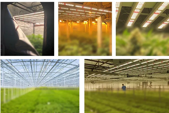 Smart agriculture solution supplier | Monshan