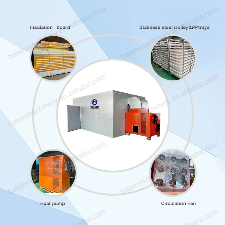 Ginger Washing Chopping Processing Machine 2tonshr Ginger Slice Drying Equipment