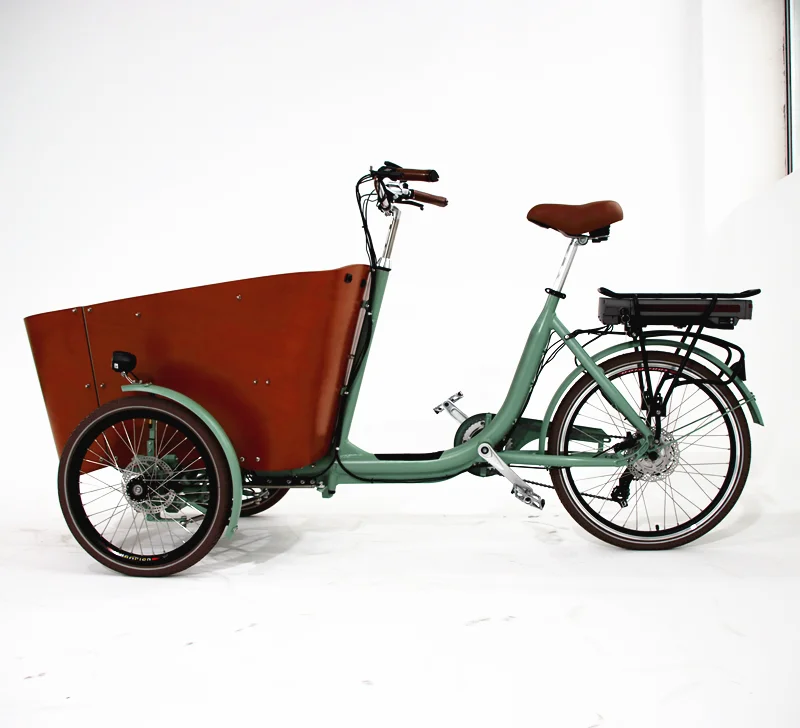 3 Wheel Cargo Bike Electric Tricycle With Cargo Box Wooden Bike For
