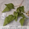 FS-Horse hoof leaves 9 pieces-green