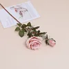 Racine de lotus rose