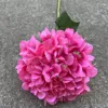 Large single head french hydrangea rose red