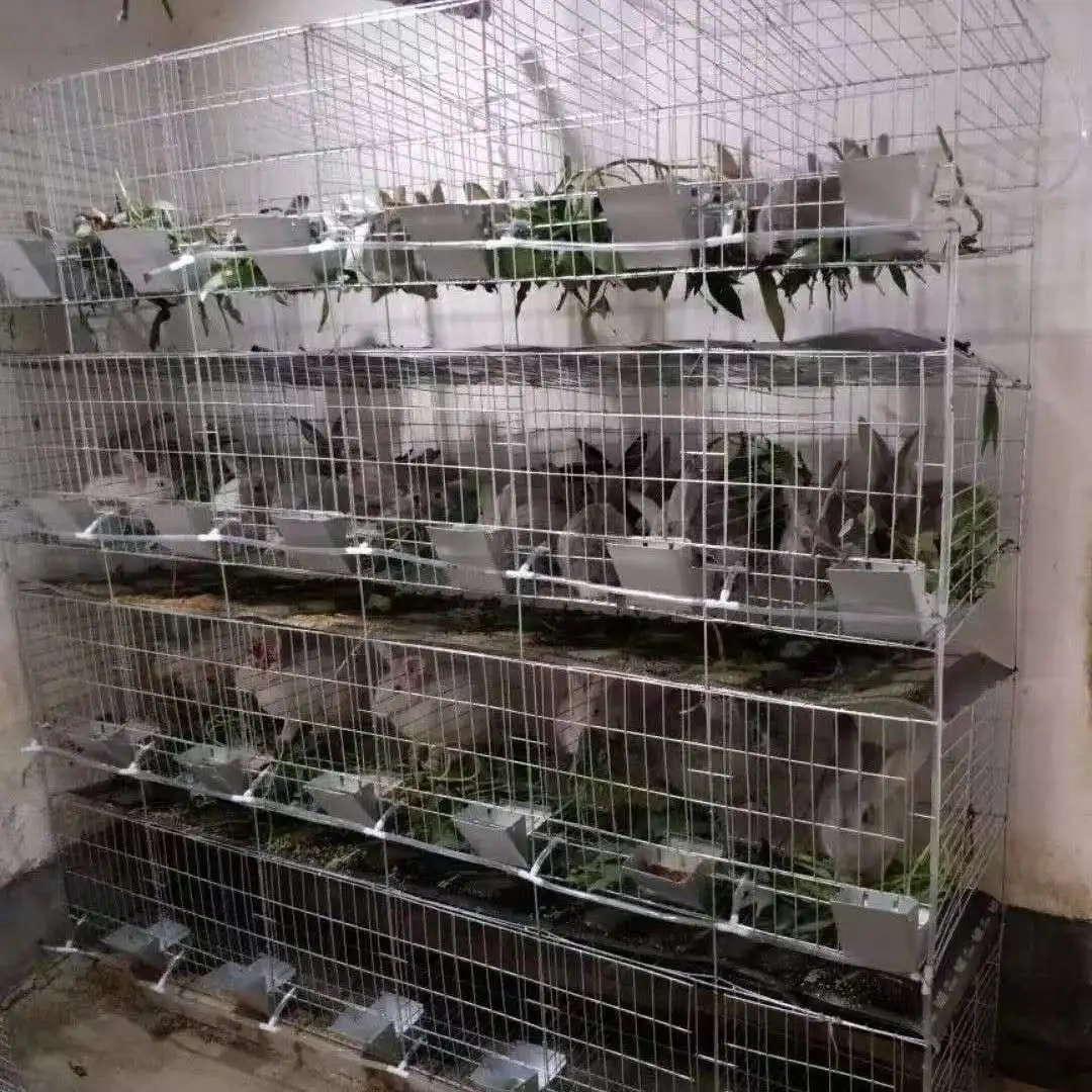 Galvanized Rabbit Cages Cheap Commercial Rabbit Breeding Cages Durable Provided Rabbit Cages for Sale 2023 Best Selling