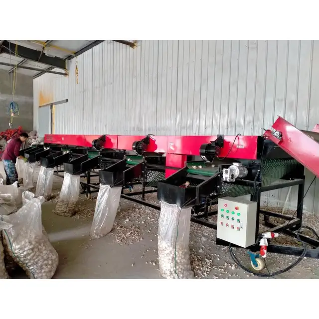 Factory Supply Fruit and Vegetable Sorting and Grading Machine Onion Garlic Sorting and Clean Machine for Sale