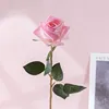 สีชมพู